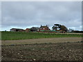 Farmland towards County Farm