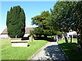 St Andrew, Yetminster: path