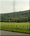 Pylon and viaduct near Pontneddfechan