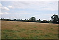 Farmland near Milebush