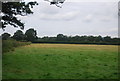 Farmland, Poplar Tree Farm