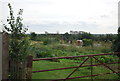 Canewdon Allotments