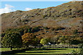 NY1700 : View Towards Dalegarth by Peter Trimming