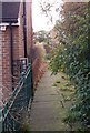 Footpath to Pitty Beck Wetlands - Chelwood Drive