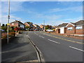 Looking up Longfellow Road