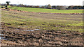 Fields near Hilden