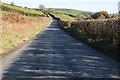 The B4594 approaching Newchurch