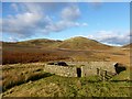 NT1339 : Sheep stell near Stobo Hopehead by Alan O'Dowd