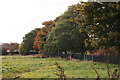 Open fields in Old Clee