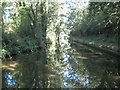 Stratford-on-Avon Canal: Reach in Illshaw Heath