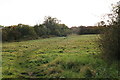 Open fields in Old Clee