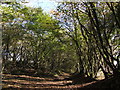 Rhymney Valley Ridgeway Footpath