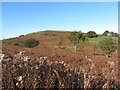 View over Rudry Common towards Mynydd Rudry