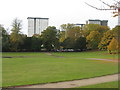 Tower blocks at Falkirk