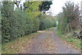 TA2009 : Access drive off Wells Road, near Healing by J.Hannan-Briggs