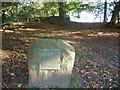 Memorial stone beside the drive near Penhein