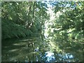 Stratford-on-Avon Canal: Reach in Dickens Heath