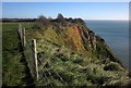 SY1587 : Higher Dunscombe Cliff by Derek Harper