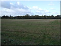 Farmland near Barrow upon Trent