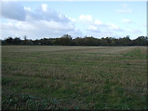 SK3528 : Farmland near Barrow upon Trent by JThomas