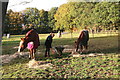 Eagle Moor: poo-picker at work