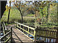 Babbs Meadow Footbridge