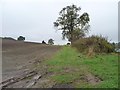 NZ2221 : Grass track along field boundary by Christine Johnstone