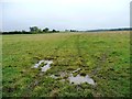 NZ2220 : Muddy tyre tracks on a grassy field by Christine Johnstone