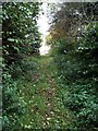 Bridleway to Lower Farm