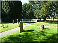 Melbury Osmond Churchyard (6)