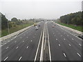 M25