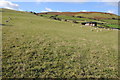 Fields opposite Dreavour Farm