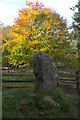 The Eagle Stone, Strathpeffer