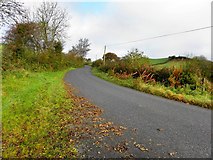 H8110 : Road at Brackly by Kenneth  Allen