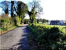 H8409 : Road at Tullyvaragh by Kenneth  Allen