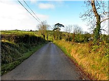 H8411 : Road at Corrinshico Cope by Kenneth  Allen