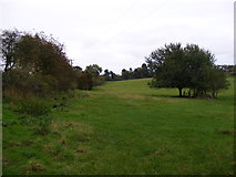 TM3775 : Field at Walpole Hatch Farm by Geographer