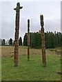 NY7976 : Totem poles, Stonehaugh by Oliver Dixon