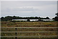 Polytunnels near Stile Bridge