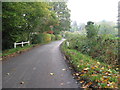 Autumn colours on Parrock Lane