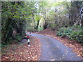 Bend in the road near Trevenna