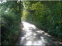 TQ4661 : Charmwood Lane by Marathon