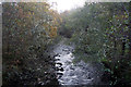 River Enrick from the White Bridge near Corrimony