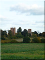 Farmland View