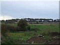 Grazing of Easton Road