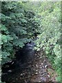 The Kilkeel River below Sheep Wash Bridge