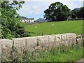 Farmhouse between Leiter and Ballinran Roads