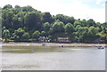 Looking across the River Dart