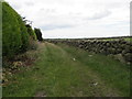 Farm access lane off Carrigenagh Road