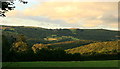 Cleave Wood and the Dart Valley